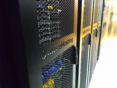 Sadece Hosting